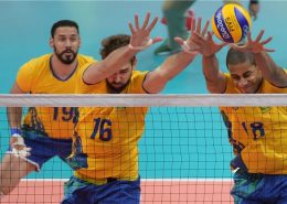 Champion Sports Official Olympic Volleyball Net