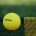 The 6 Best Spikeball Sets 3
